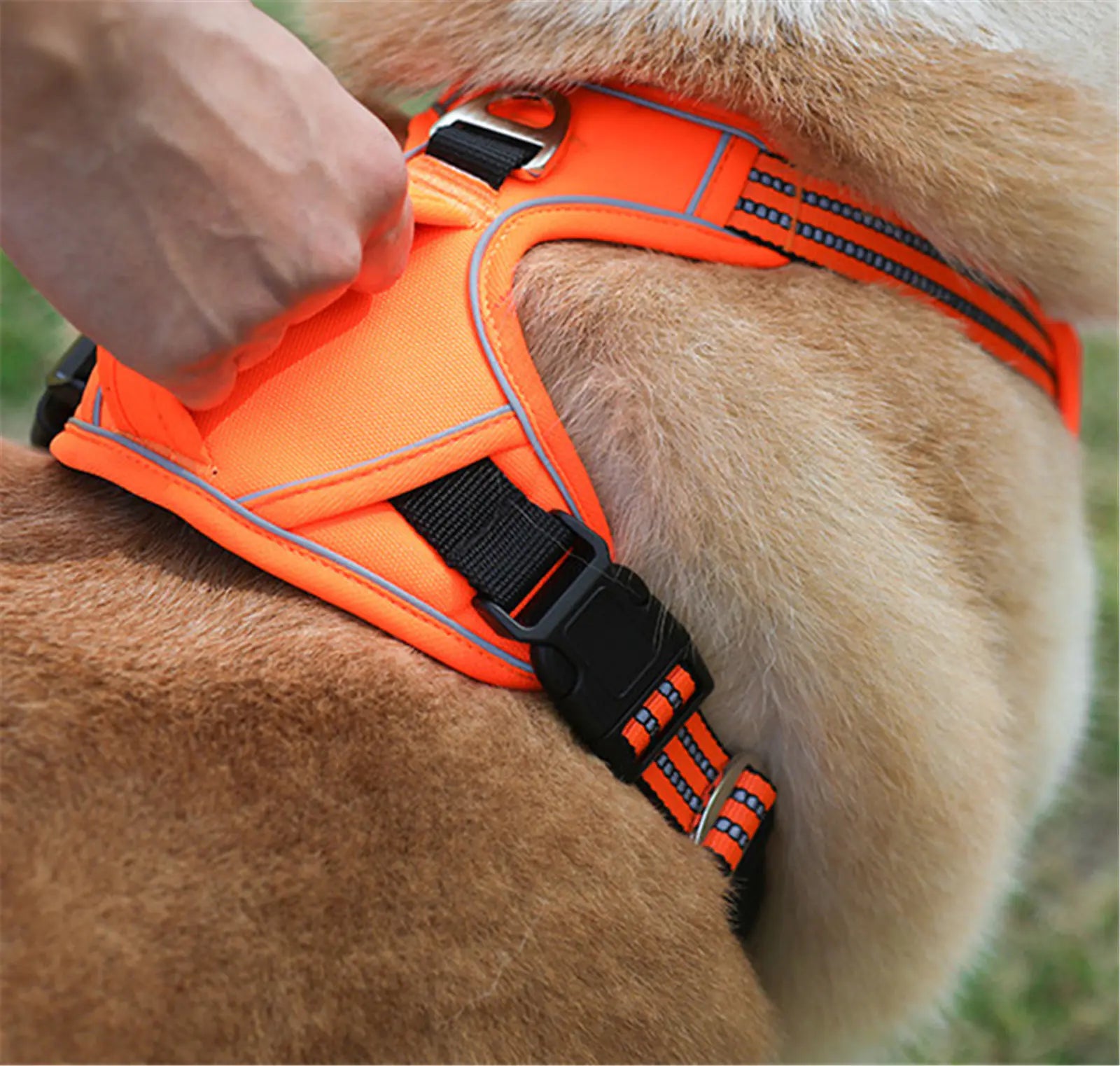 Arnés para Mascotas Impermeable y Duradero con Asa Vertical