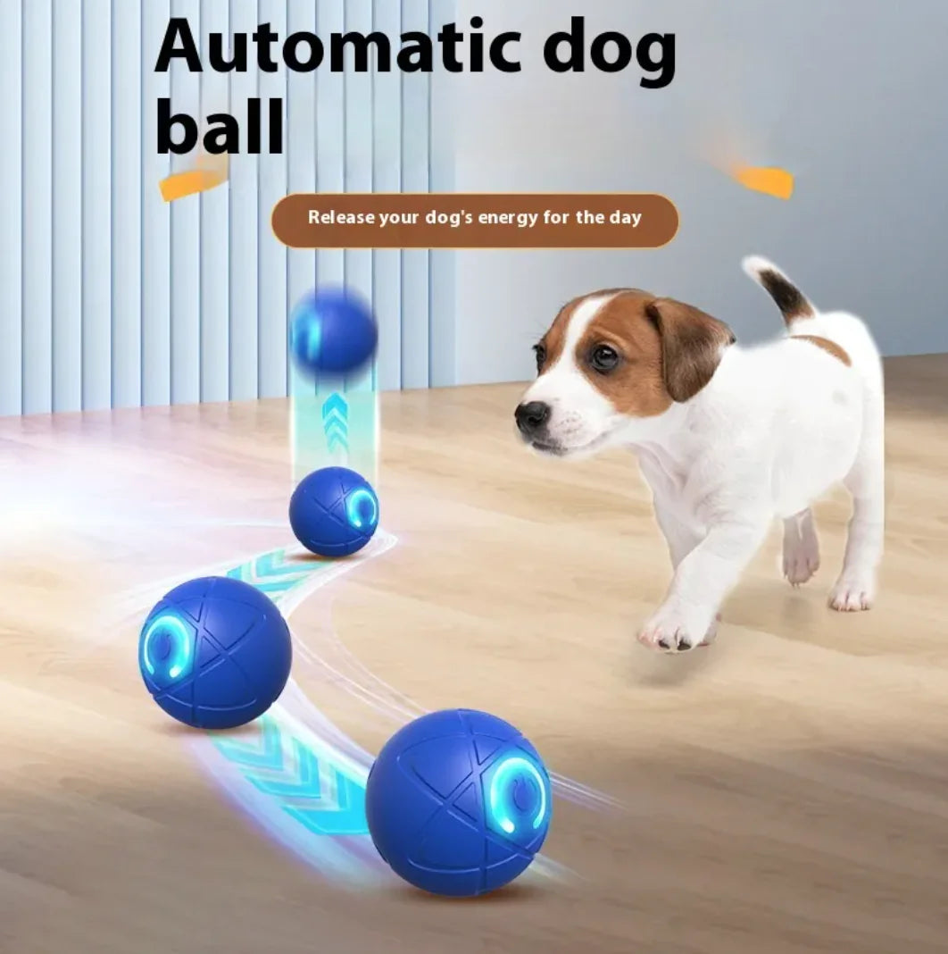 Juguete Interactivo Resistente para Mascotas