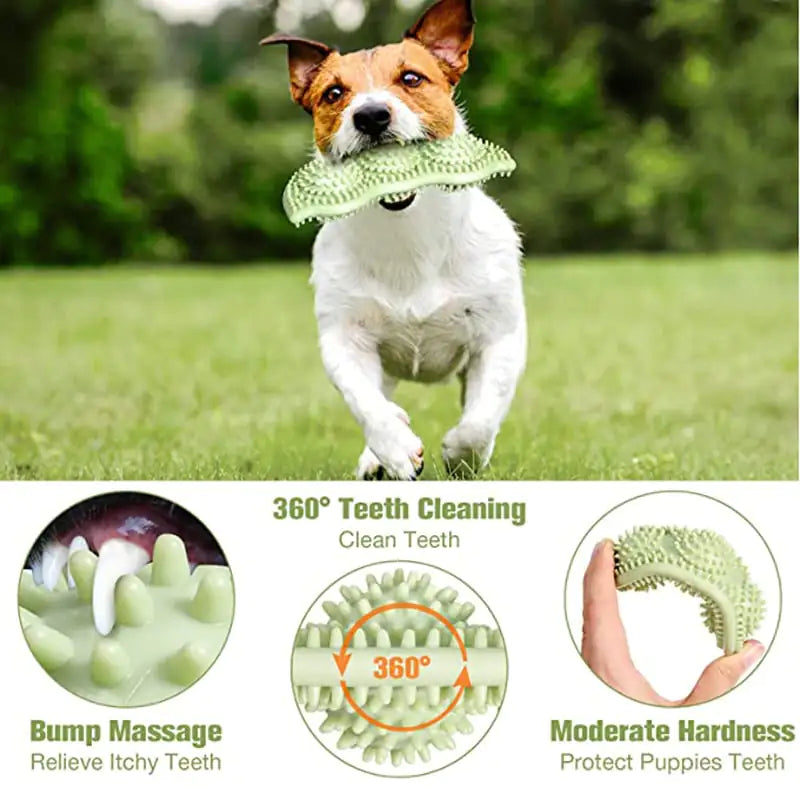 Pelota Mordedor para Perros Resistente para Masticación Interactiva