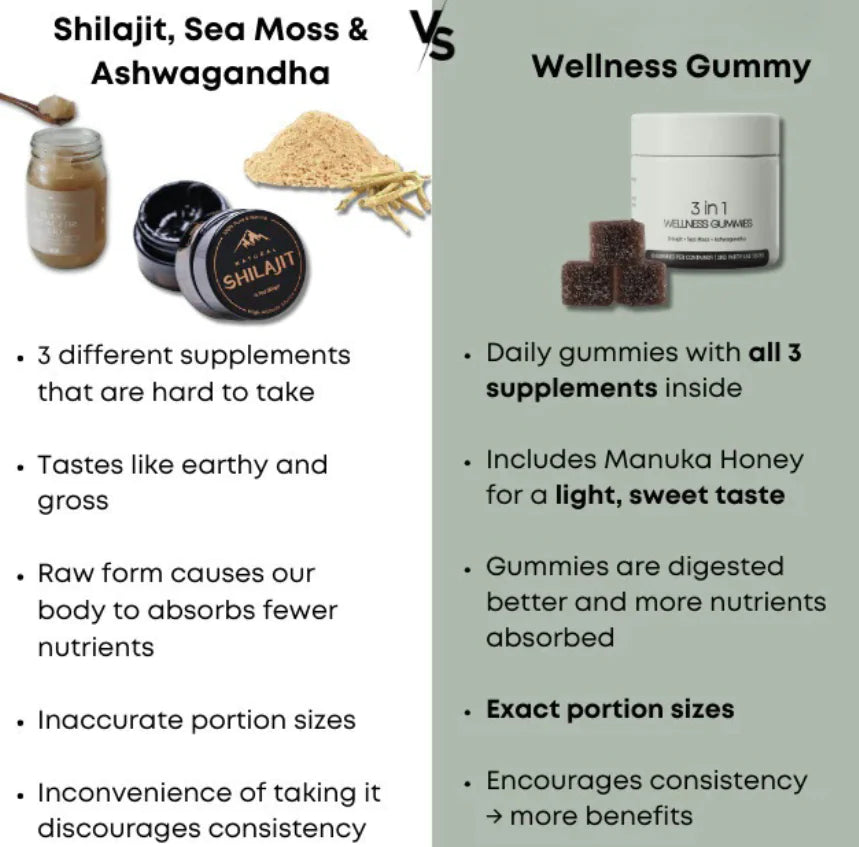 Gomitas Shilajit 3-en-1 para Hombres